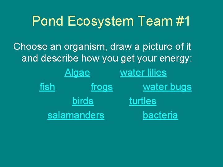 Pond Ecosystem Team #1 Choose an organism, draw a picture of it and describe