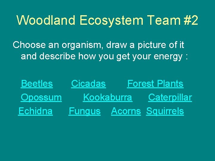 Woodland Ecosystem Team #2 Choose an organism, draw a picture of it and describe