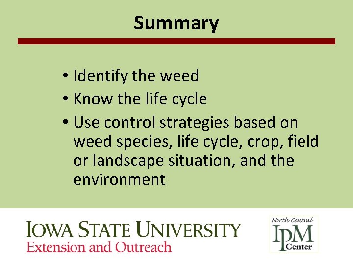 Summary • Identify the weed • Know the life cycle • Use control strategies