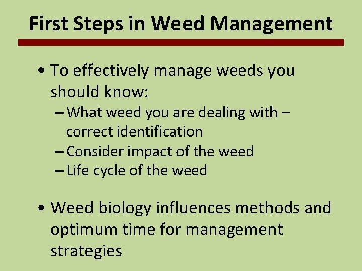First Steps in Weed Management • To effectively manage weeds you should know: –