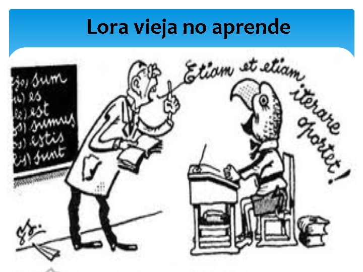 Lora vieja no aprende 