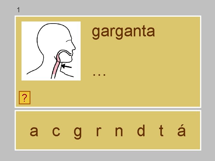 1 garganta … ? a c g r n d t á 