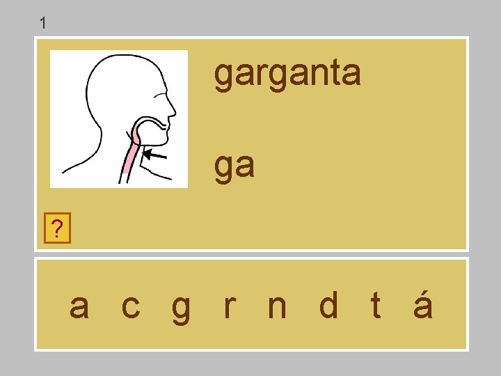 1 garganta ga ? a c g r n d t á 