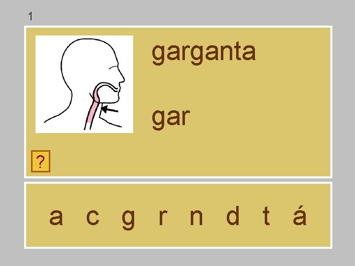 1 garganta gar ? a c g r n d t á 