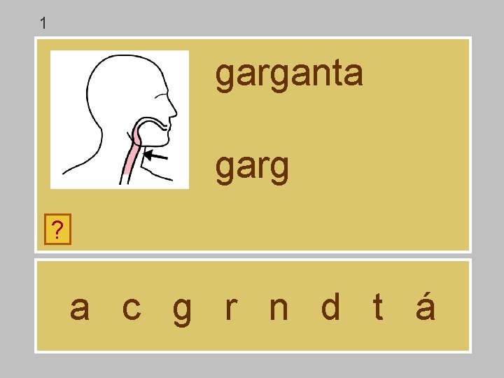 1 garganta garg ? a c g r n d t á 
