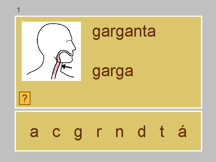 1 garganta garga ? a c g r n d t á 