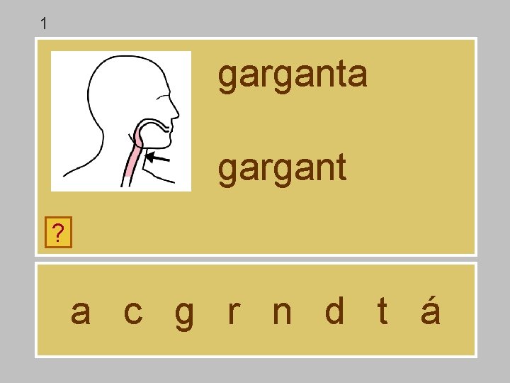 1 garganta gargant ? a c g r n d t á 