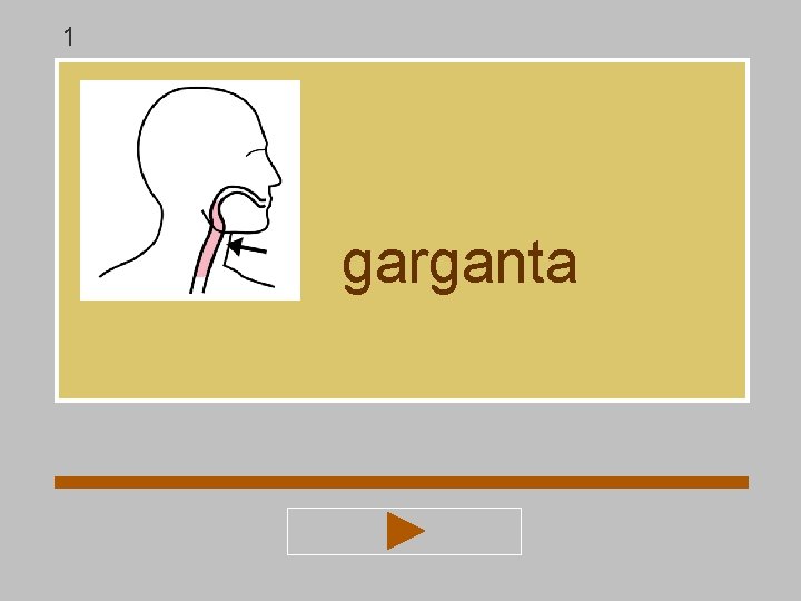 1 garganta 