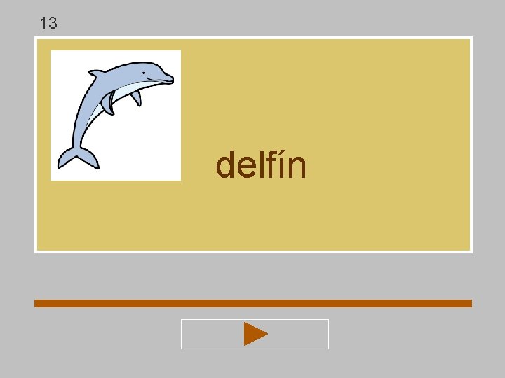 13 delfín 