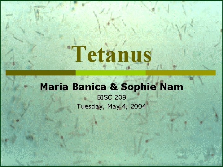 Tetanus Maria Banica & Sophie Nam BISC 209 Tuesday, May 4, 2004 