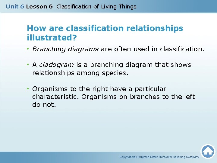 Unit 6 Lesson 6 Classification of Living Things How are classification relationships illustrated? •
