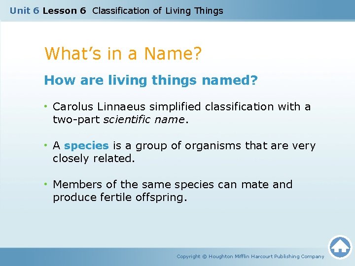 Unit 6 Lesson 6 Classification of Living Things What’s in a Name? How are