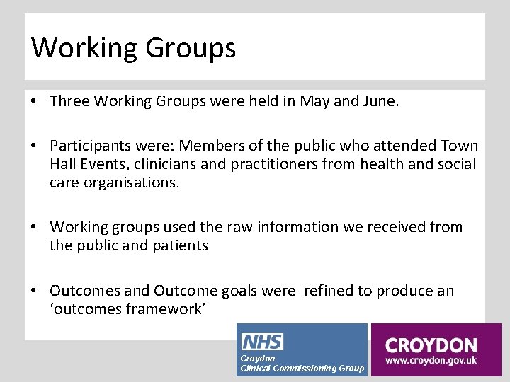 Working Groups • Three Working Groups were held in May and June. • Participants
