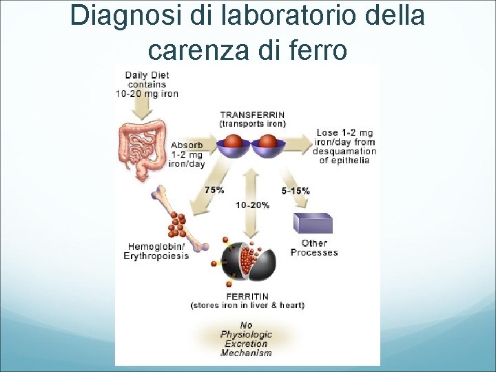 Diagnosi di laboratorio della carenza di ferro 