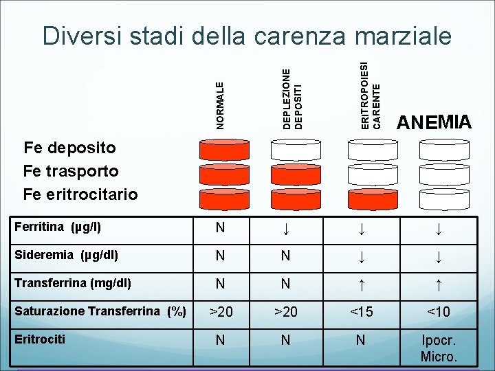 NORMALE DEPLEZIONE DEPOSITI ERITROPOIESI CARENTE Diversi stadi della carenza marziale Ferritina (µg/l) N ↓