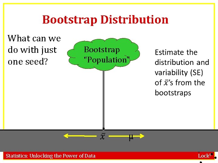 Bootstrap Distribution What can we do with just one seed? Bootstrap “Population” Statistics: Unlocking