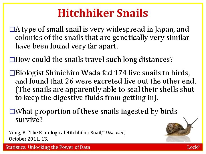 Hitchhiker Snails �A type of small snail is very widespread in Japan, and colonies