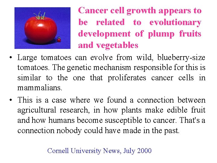 Cancer cell growth appears to be related to evolutionary development of plump fruits and Cancer cell growth appears to be related to evolutionary development of plump fruits and