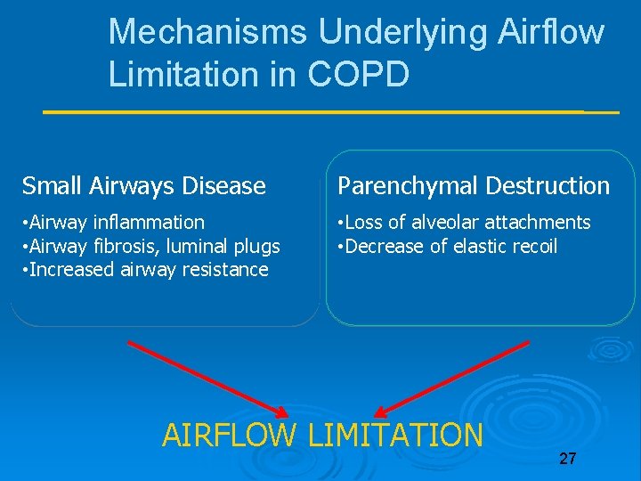 Mechanisms Underlying Airflow Limitation in COPD Small Airways Disease Parenchymal Destruction • Airway inflammation