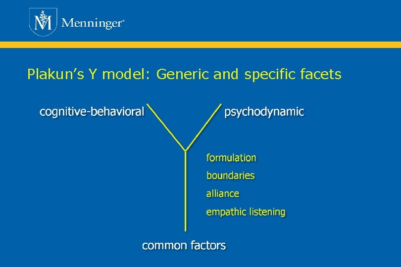 Plakun’s Y model: Generic and specific facets 