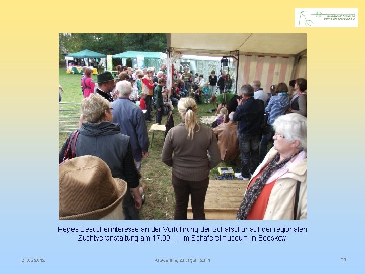 Reges Besucherinteresse an der Vorführung der Schafschur auf der regionalen Zuchtveranstaltung am 17. 09.