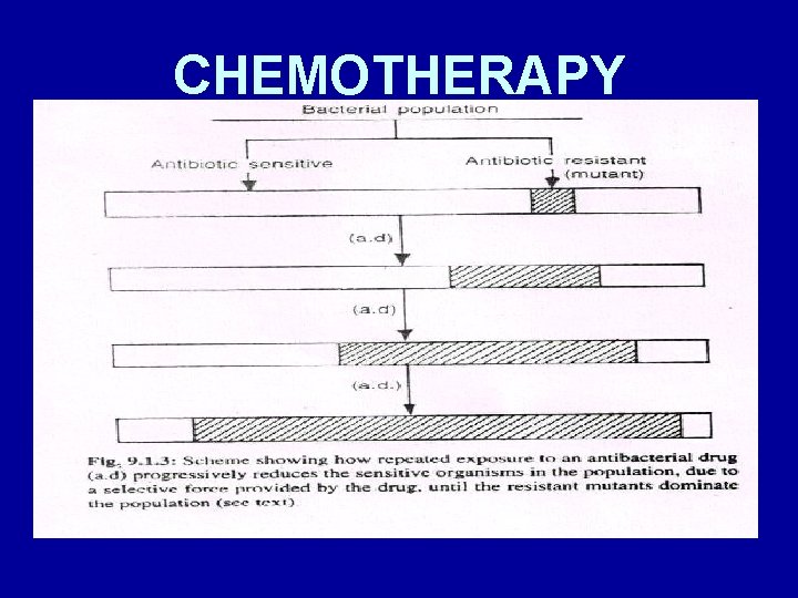 CHEMOTHERAPY 