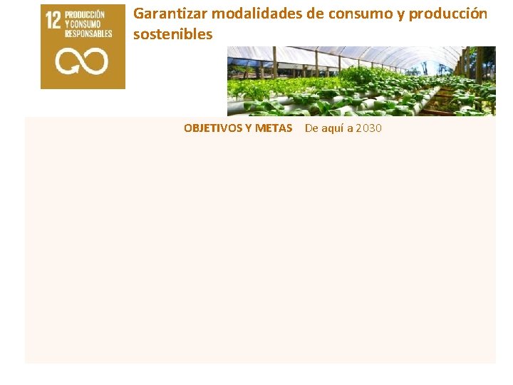 Garantizar modalidades de consumo y producción sostenibles OBJETIVOS Y METAS De aquí a 2030