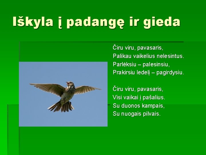 Iškyla į padangę ir gieda Čiru viru, pavasaris, Palikau vaikelius nelesintus. Parlėksiu – palesinsiu,