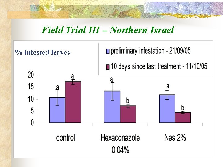 Field Trial III – Northern Israel % infested leaves 
