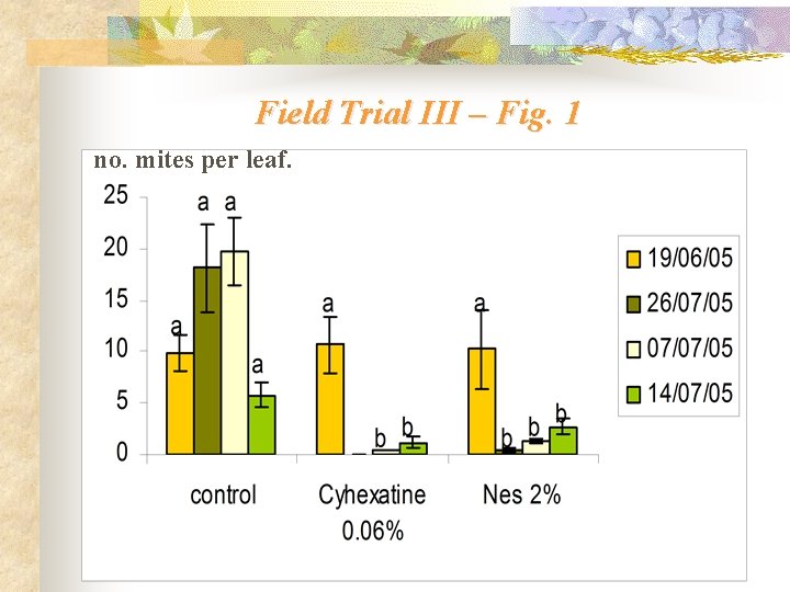 Field Trial III – Fig. 1 no. mites per leaf. 