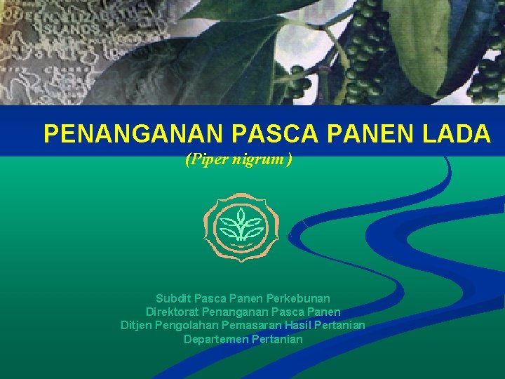 PENANGANAN PASCA PANEN LADA (Piper nigrum ) Subdit Pasca Panen Perkebunan Direktorat Penanganan Pasca