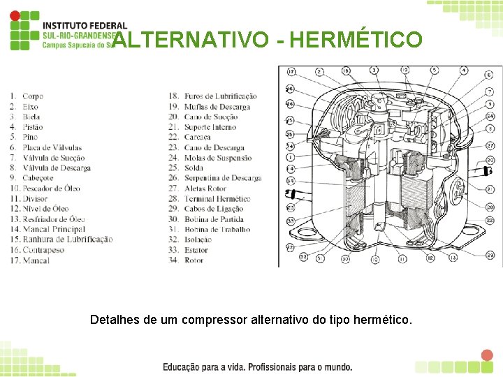 ALTERNATIVO - HERMÉTICO Detalhes de um compressor alternativo do tipo hermético. 13 