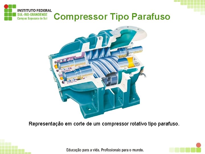 Compressor Tipo Parafuso Representação em corte de um compressor rotativo tipo parafuso. 30 