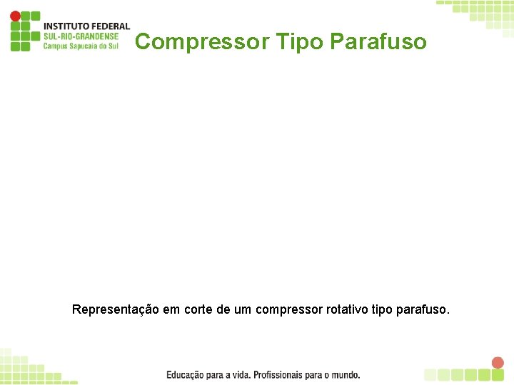 Compressor Tipo Parafuso Representação em corte de um compressor rotativo tipo parafuso. 32 