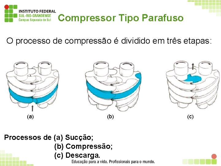 Compressor Tipo Parafuso O processo de compressão é dividido em três etapas: (a) (b)