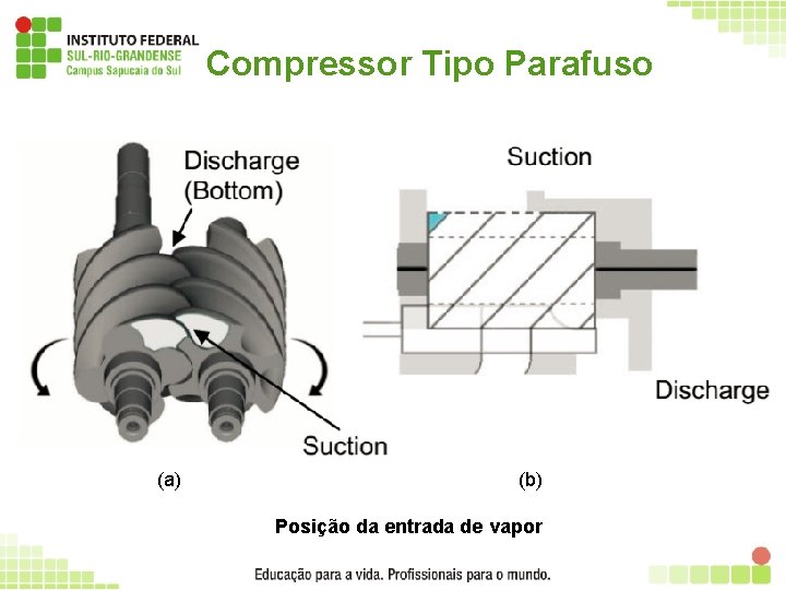 Compressor Tipo Parafuso (a) (b) (c) Processos de (a) sucção, (b) compressão e (c)