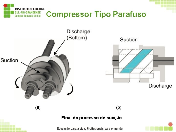 Compressor Tipo Parafuso (a) (b) Final do processo de sucção 35 