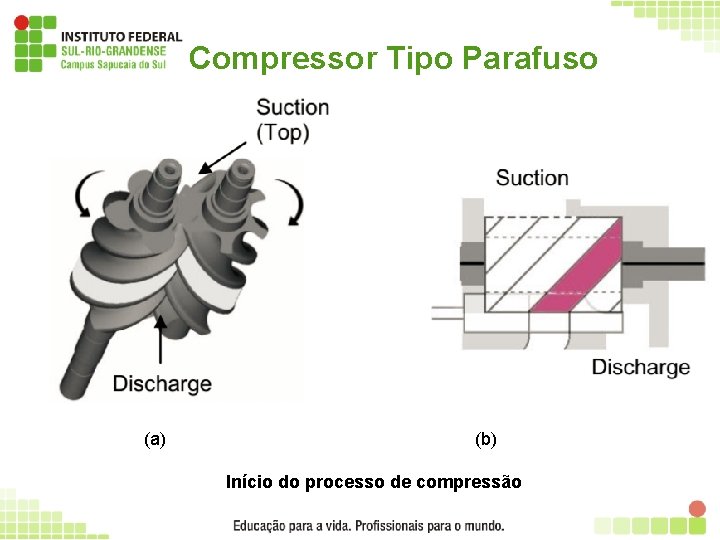 Compressor Tipo Parafuso (a) (b) Início do processo de compressão 36 