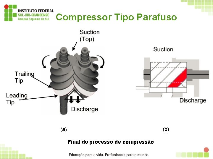 Compressor Tipo Parafuso (a) (b) Final do processo de compressão 37 