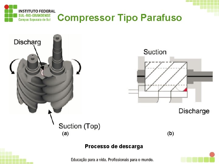 Compressor Tipo Parafuso (a) (b) Processo de descarga 38 