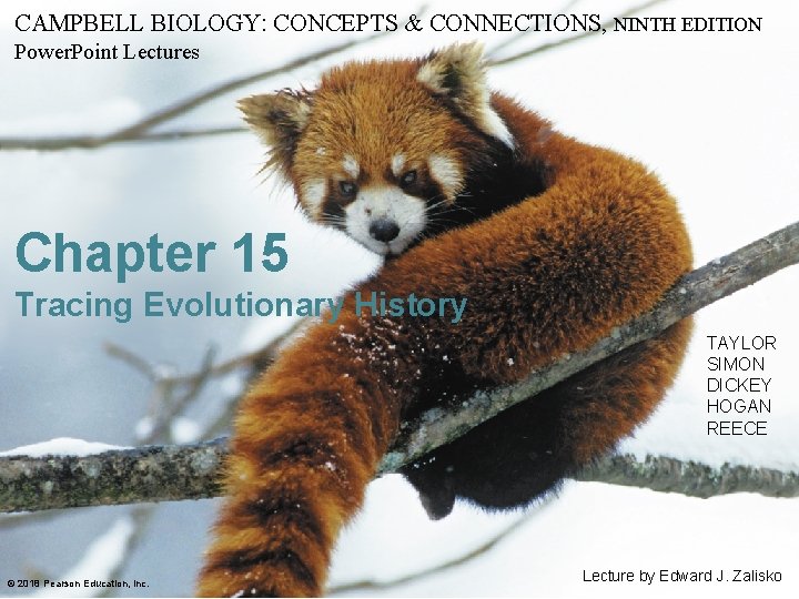 CAMPBELL BIOLOGY: CONCEPTS & CONNECTIONS, NINTH EDITION Power. Point Lectures Chapter 15 Tracing Evolutionary