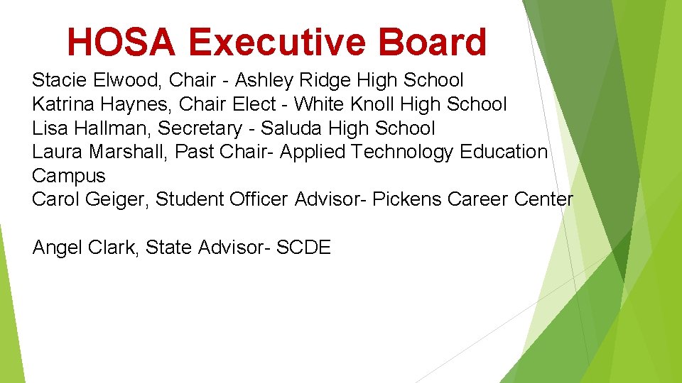 HOSA Executive Board Stacie Elwood, Chair - Ashley Ridge High School Katrina Haynes, Chair