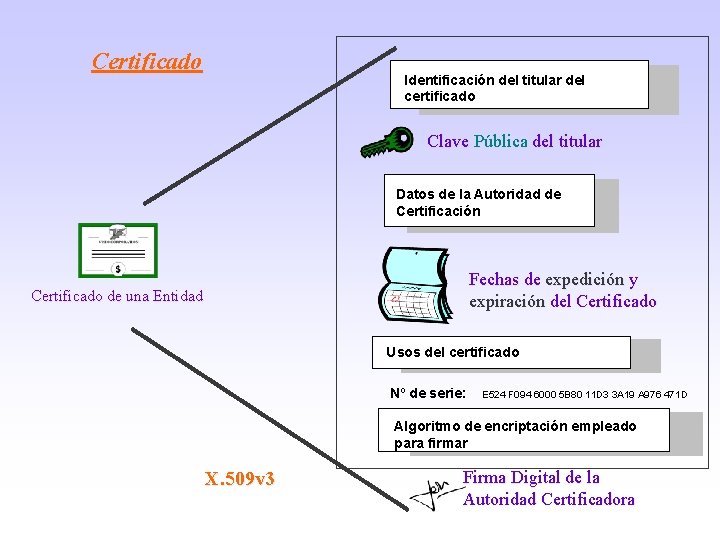 Certificado Identificación del titular del certificado Clave Pública del titular Datos de la Autoridad