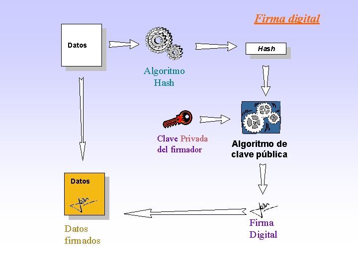 Firma digital Datos Hash Algoritmo Hash Clave Privada del firmador Algoritmo de clave pública