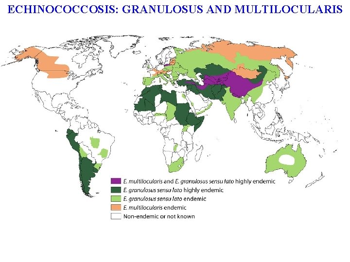 ECHINOCOCCOSIS: GRANULOSUS AND MULTILOCULARIS ECHINOCOCCOSIS: GRANULOSUS AND MULTILOCULARIS