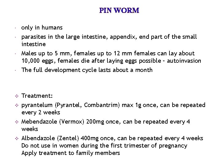 PIN WORM v v only in humans parasites in the large intestine, appendix, end PIN WORM v v only in humans parasites in the large intestine, appendix, end