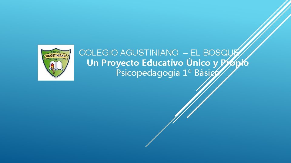 COLEGIO AGUSTINIANO – EL BOSQUE Un Proyecto Educativo Único y Propio Psicopedagogía 1º Básico