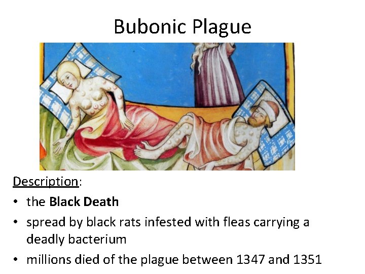 Bubonic Plague Description: • the Black Death • spread by black rats infested with