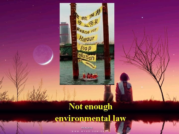 Not enough environmental law 