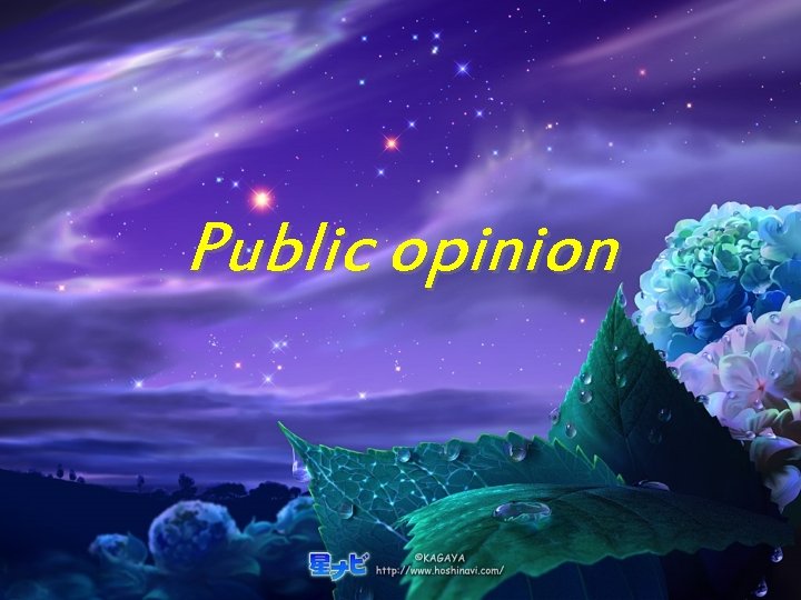 Public opinion 